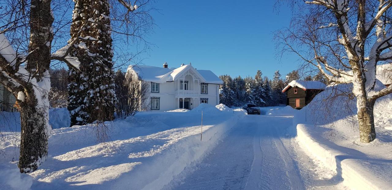 Drolsum Gard Apartment Vikersund Exterior photo