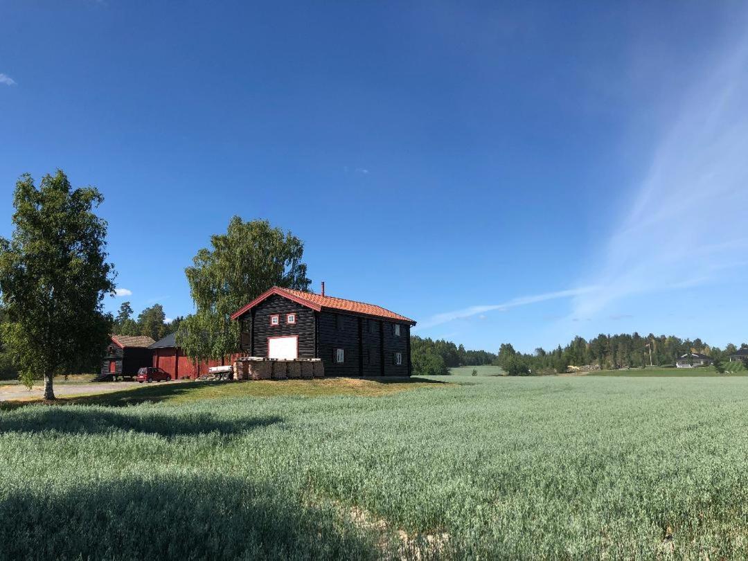 Drolsum Gard Apartment Vikersund Exterior photo