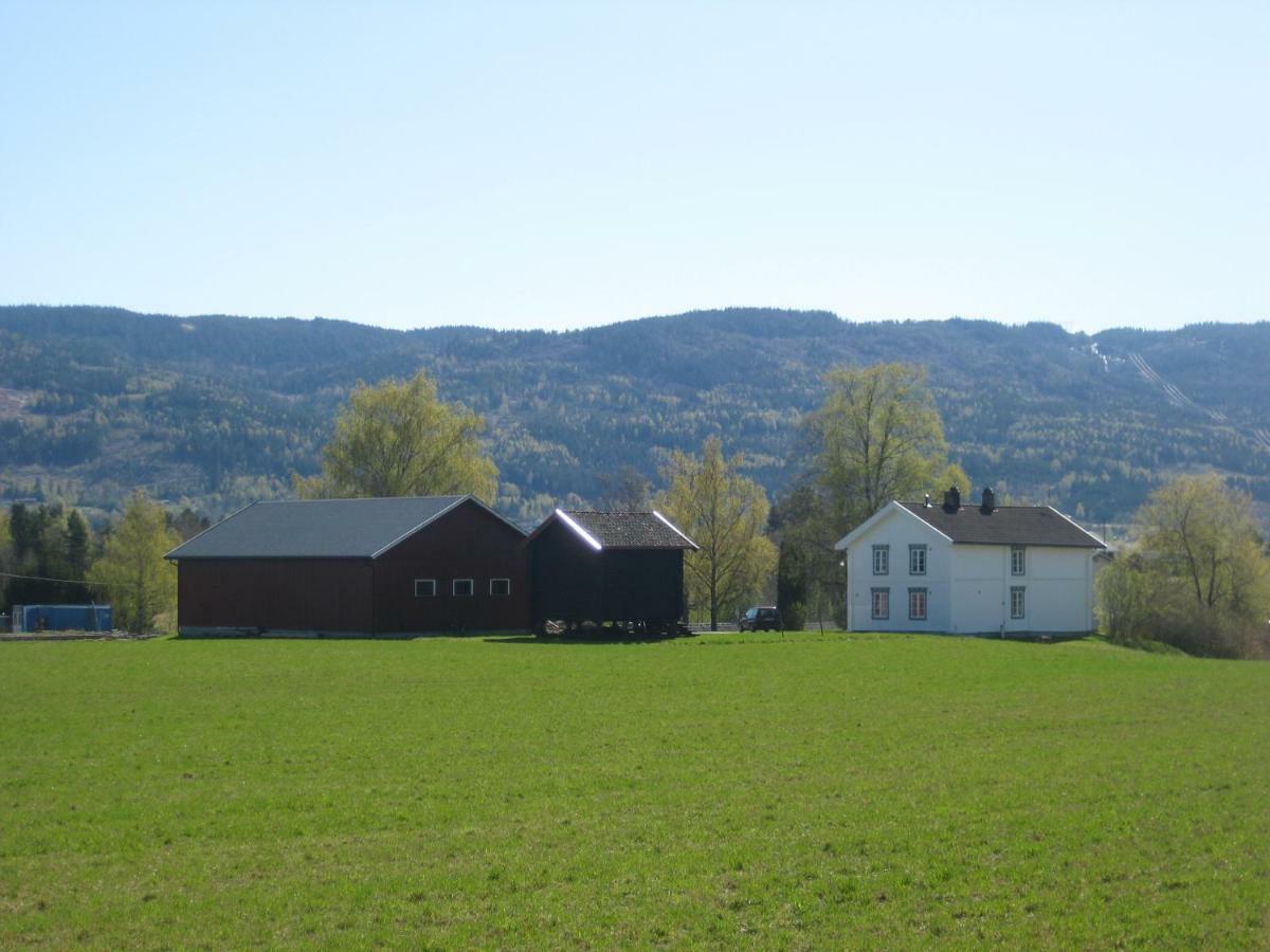 Drolsum Gard Apartment Vikersund Exterior photo