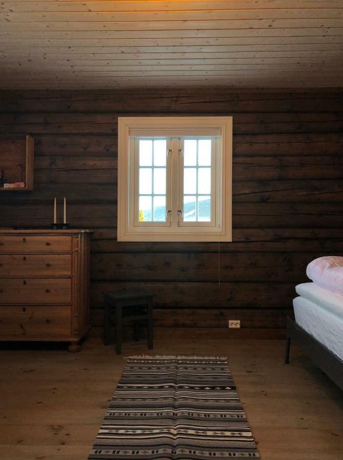 Drolsum Gard Apartment Vikersund Exterior photo