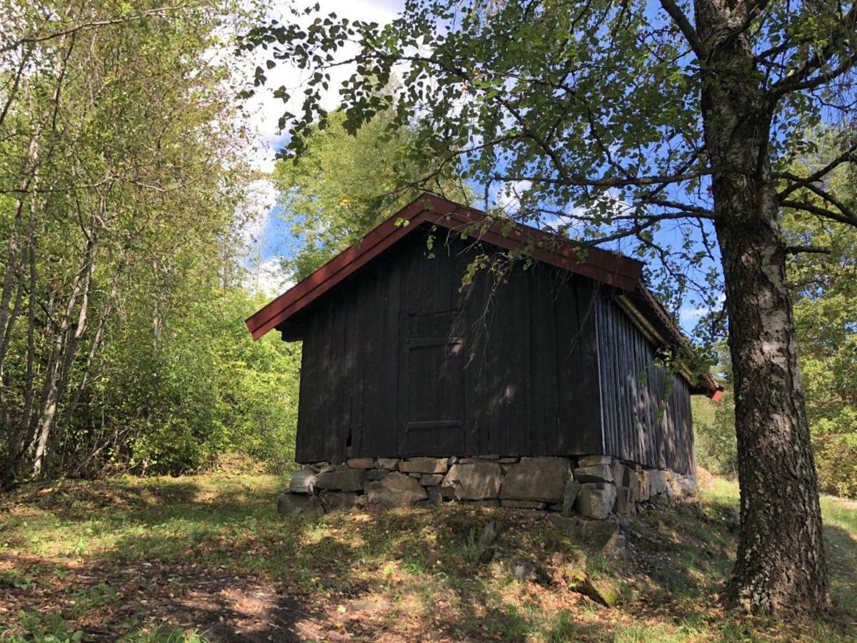 Drolsum Gard Apartment Vikersund Exterior photo